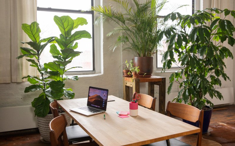 An eco-friendly living room with large windows, indoor plants, and wooden furniture, promoting environmental wellness in The Holistic Guide to Wellness.